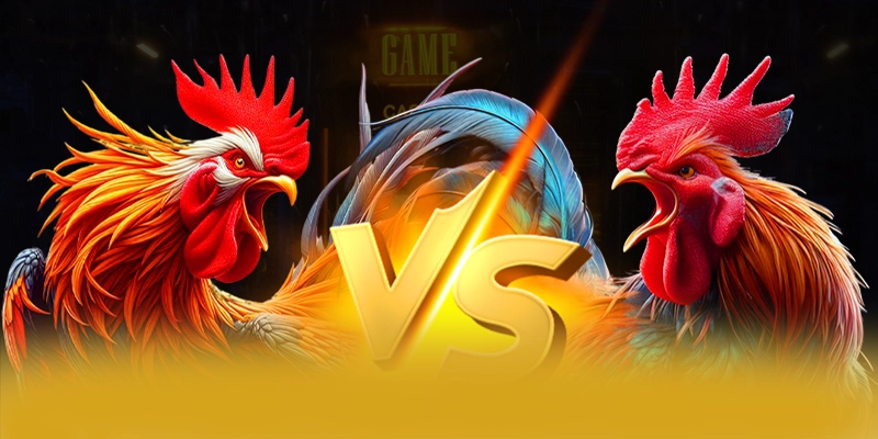 W88 - Danh gia tong the mot cach tong quan.