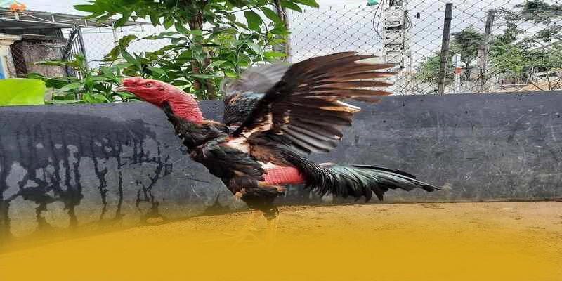 Điểm khác biệt của BET168 so với các nhà cái khác