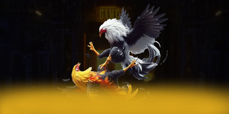 Đánh giá FB88 - Trang game được tin dùng số 1 Việt Nam